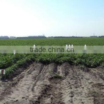 blue PVC lay flat hose for agricultural irrigation