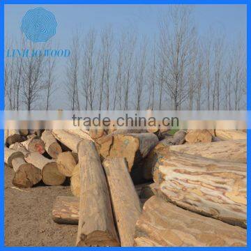 Factory Direct Paulownia Door Wood photo-5