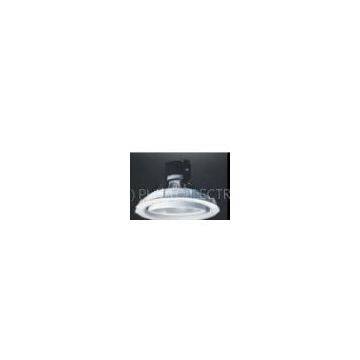 LED Down Light