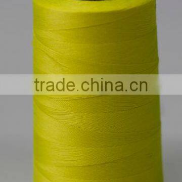 Meta-Aramid Sewing Thread in Different Types and Colors Flame Retardant Thread Made in China photo-5