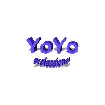 Shenzhen YOYO King Technology Co., Ltd