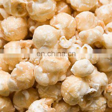 Fully Automatic Commercial Popcorn Production Line Electric Popcorn Machine Price For Sales photo-6