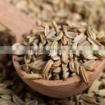 Best Quality Organic Fennel Seeds Sale