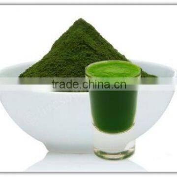 organic certified food grade moringa powder