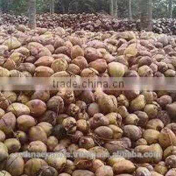 Fresh Semi Husked in Asian Countries