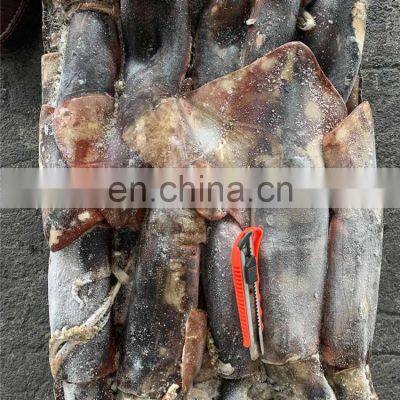 Whole Round Frozen Giant Squid Peru Giant Squid Dosidicus Gigas photo-4
