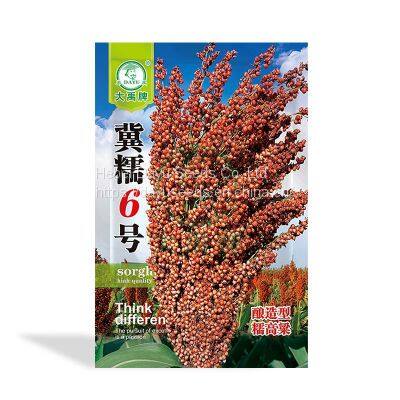 Hybrid brew type sorghum Ji Waxy No.6     high-yield crop          Sorghum Seeds Suppliers