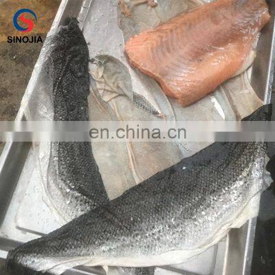Safe Operation Fish Skin Removing Machine / Skinning Machine for Fish photo-4