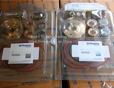 Perkins Y94/00002 Kit Repair (Turbo) for 1000 Series Engines