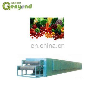 Professional Dried Apple Chips Processing Machines