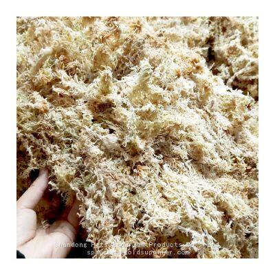 wholesale garden supplies marimo peat moss substrate organic fertilizer amino acid fertilizer 150g/bag aaaaaa sphagnum moss