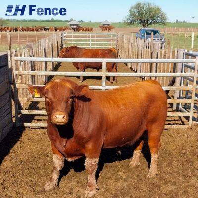 Versatile Cattle Panel: Adaptable for Building Secure Feeding Areas, Breeding Pens, and Handling Facilities