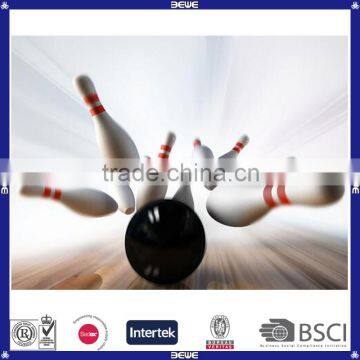 Profession Bowling Balls And Pins For Game Using