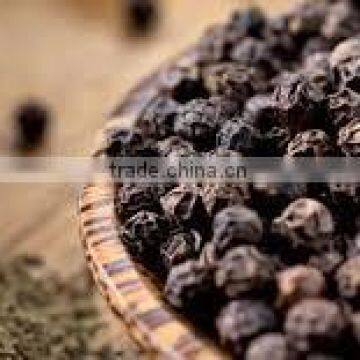Black Pepper