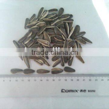 Hulled confectionery sunflower seed for sale