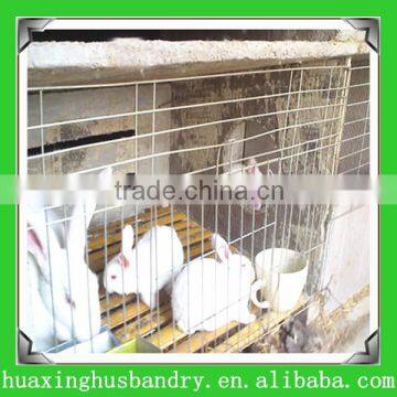 Rabbit Cage