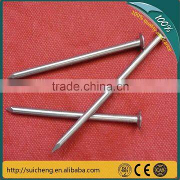 Guangzhou Hardware Galvanized Concrete Common Nails/Roofing Nails