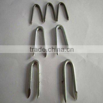 famous manufacturer of u type nails