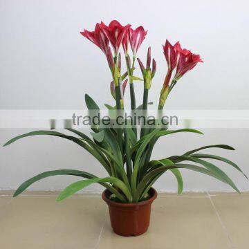 bonsai Plastic artificial potted plant
