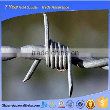 Cheap galvanized barbed wire with machine for sale