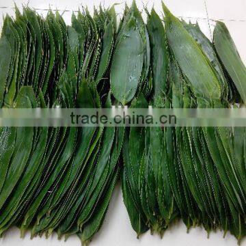 Fresh or vacuum Sushi Bamboo leaves