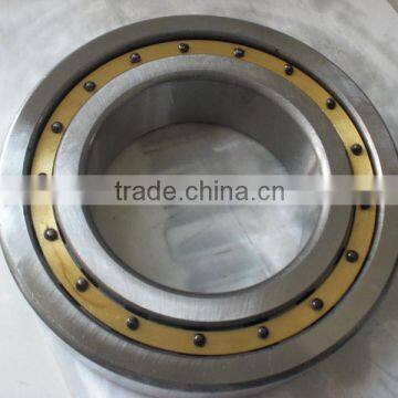 Support Roller Bearing