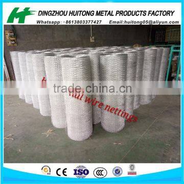 Square Chicken Wire Mesh /Galvanized Hexagonal Wire Mesh Nettings in Dingzhou Factory photo-2