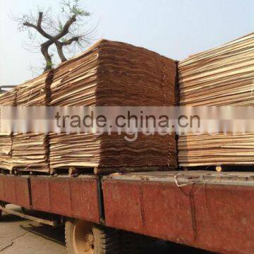 CORE VENEER WITH HIGH QUALITY