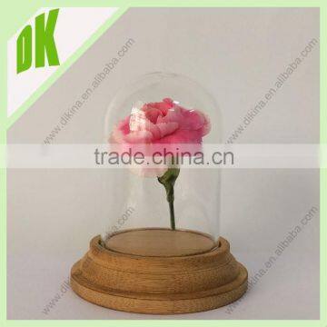 China Supplier for glass craft:glass terrarium,geometric glass terrarium,etc / mini dome glass with Wooden Base