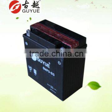 12v maintenance free motor battery