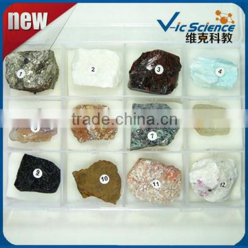 12 Kinds Mineral Teaching Toy