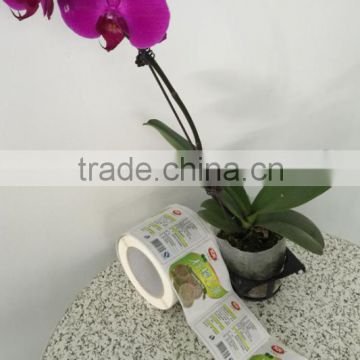 Guangzhou manufacture customized food labels paper/vinyl material adhesive stickers printing