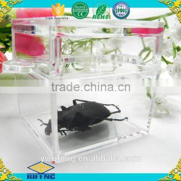 Magnifier Toy;transparent Square Box Design ;small Portable Insect Magnifier photo-2
