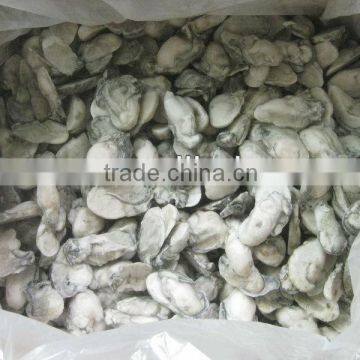 frozen oyster meat