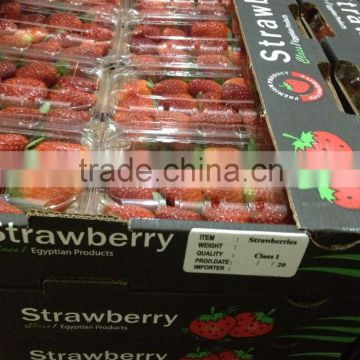 Fresh strawberry for export from Egypt