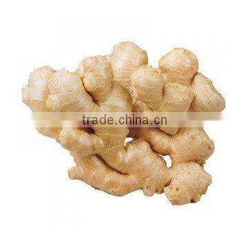 Fresh Yellow Ginger