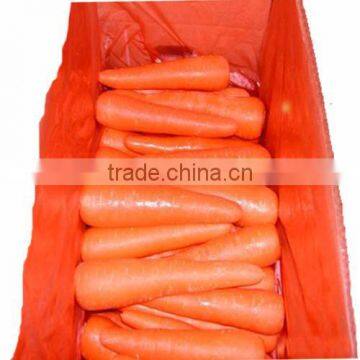 Chinese fresh red carrot