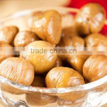 top quality chestnuts for sale