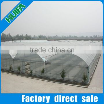 Easy Operation Commercial Greenhouse for Sale