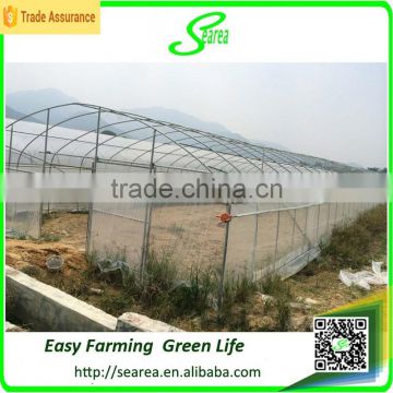 Professional greenhouse manufacturer complete greenhouse for sale