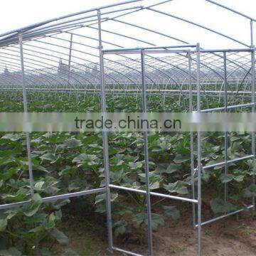 High Quality Tunnel Greenhouse About Vegetable Farming Equipment photo-2
