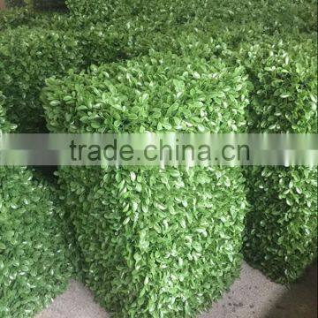 Artificial Plant Best Price Artificial Boxwood Hedges Wall photo-5