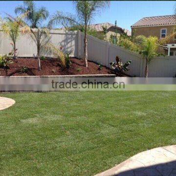 Fake Lawn Green Landscaping Grass for Sale photo-5