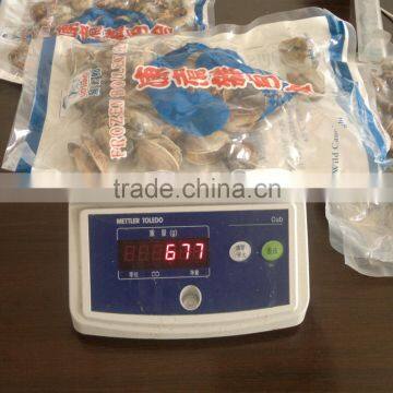 High Quality Hot Sales Rozen Vacuum Packed Cooked Short Necked Clam photo-3