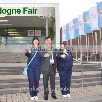 Import Cheap Goods From China Garden Decor Artificial Turf Prices photo-4