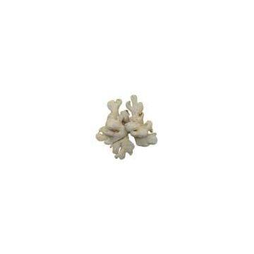 Sell Dry Ginger (India)