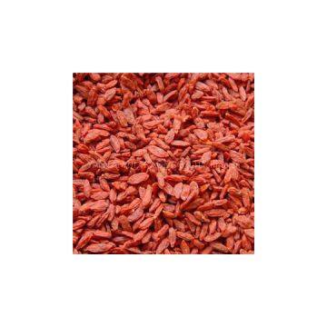 Conversion Organic GOJI