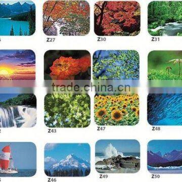 Gel Mouse Pad photo-6