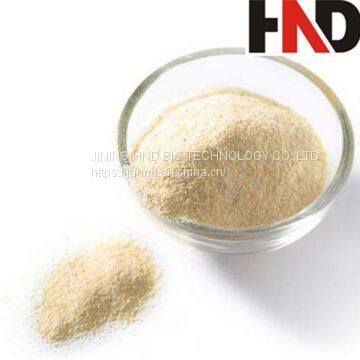 Dehydrated 15% Allicin Garlic Powder With 2018 New Crop photo-3