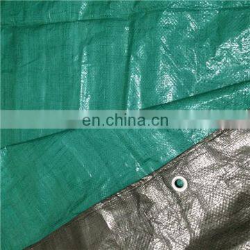 Free sample pe tarpaulin made in china